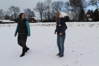 Afbeelding invoegen